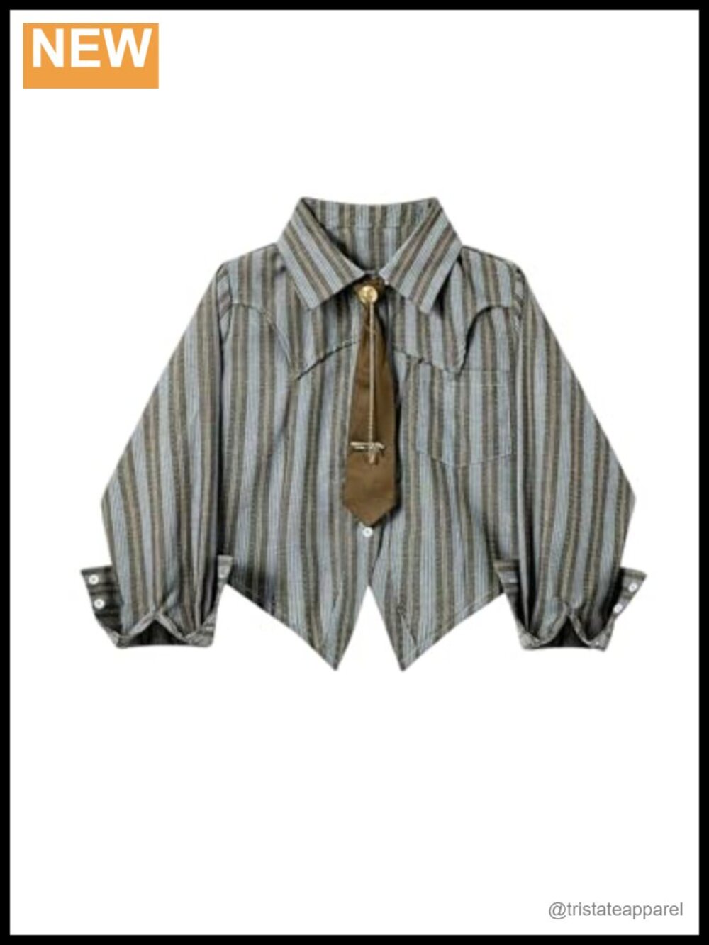 Striped Print Button Down Long Sleeve Tie Blouse Preppy College Shirt